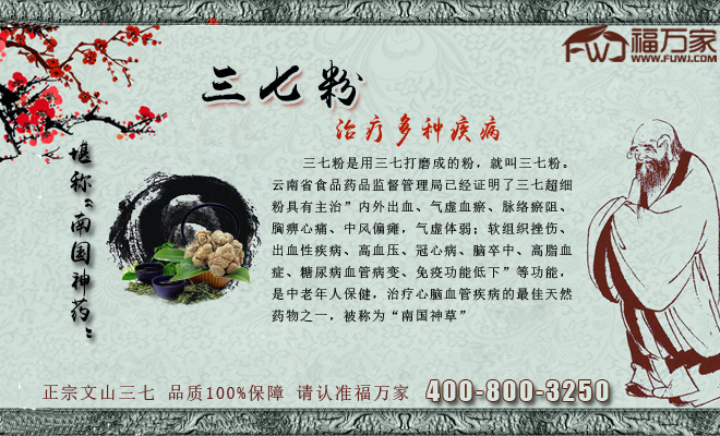 三七粉 三七粉