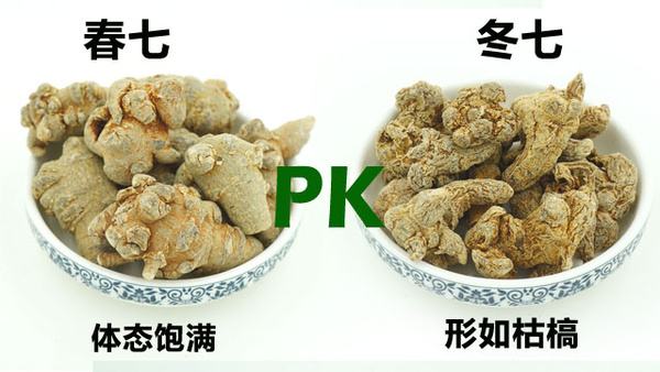 春七对比冬七 春七对比冬七