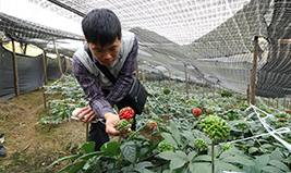 福万家种植基地 福万家种植基地