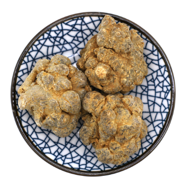 文山三七 文山三七
