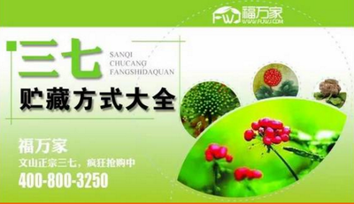 储藏三七方法 储藏三七方法